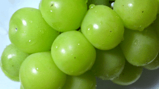 2012090719190001.gif