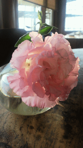 2013051817260000.gif