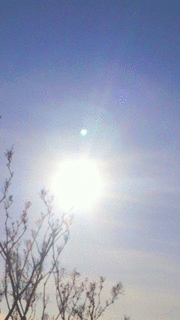 2013110914510000.gif
