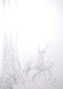 3.gif
