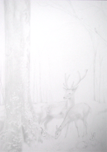 4.gif