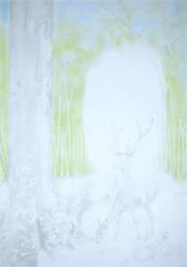 5.gif