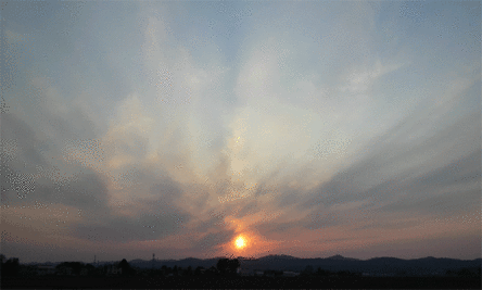 6890-64271.gif