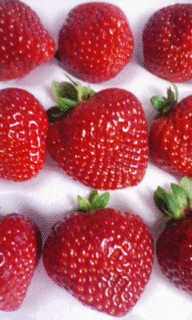 ichigo.gif