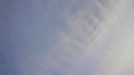 kousi.gif