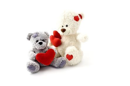 teddy-15323__480.jpg