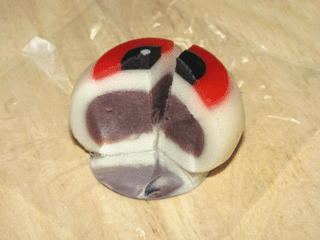 IMG_0751.gif